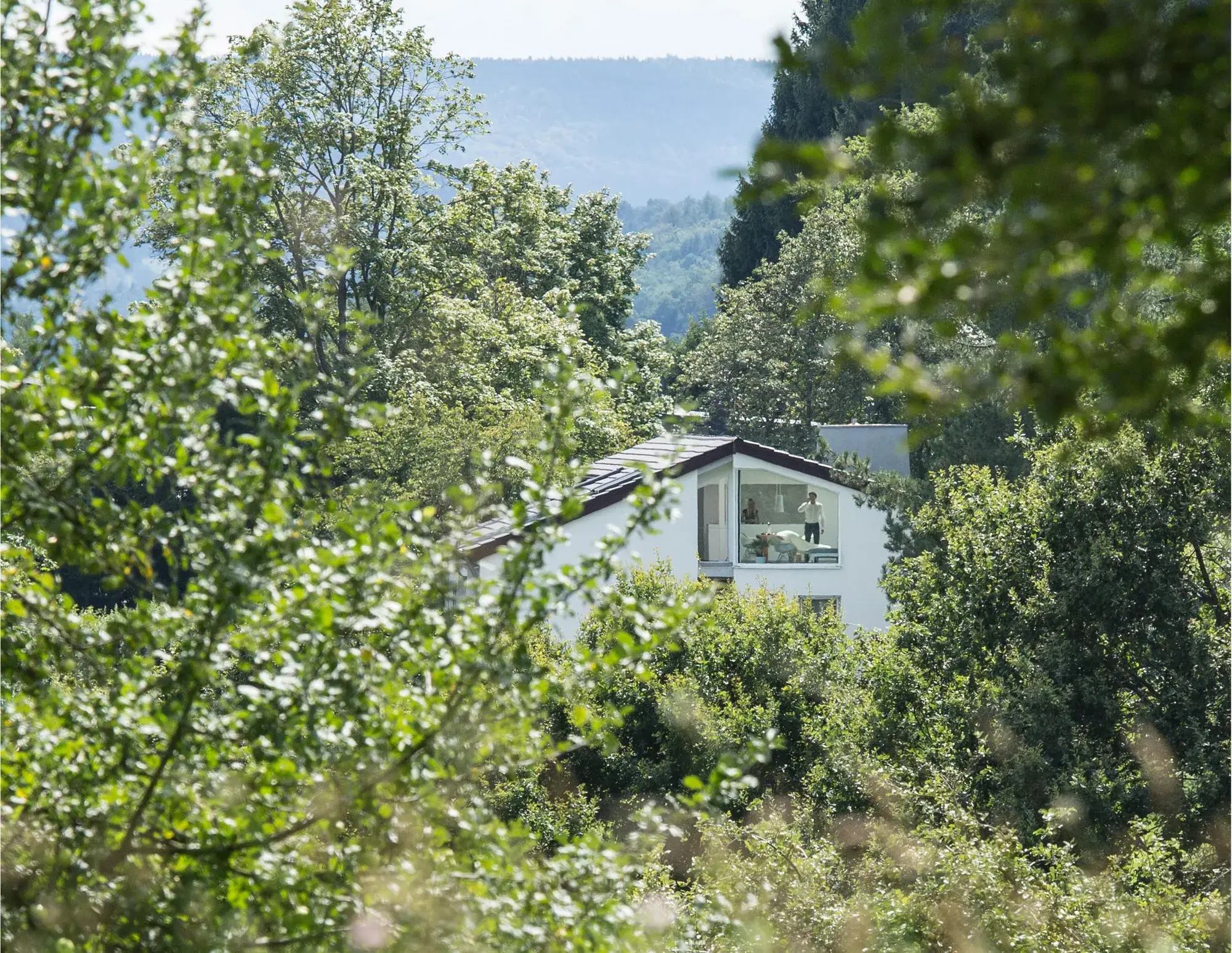 Moderne Dachstuhlsanierung in einem Zweifamilienhaus, Michelstadt – Lage im Grünen