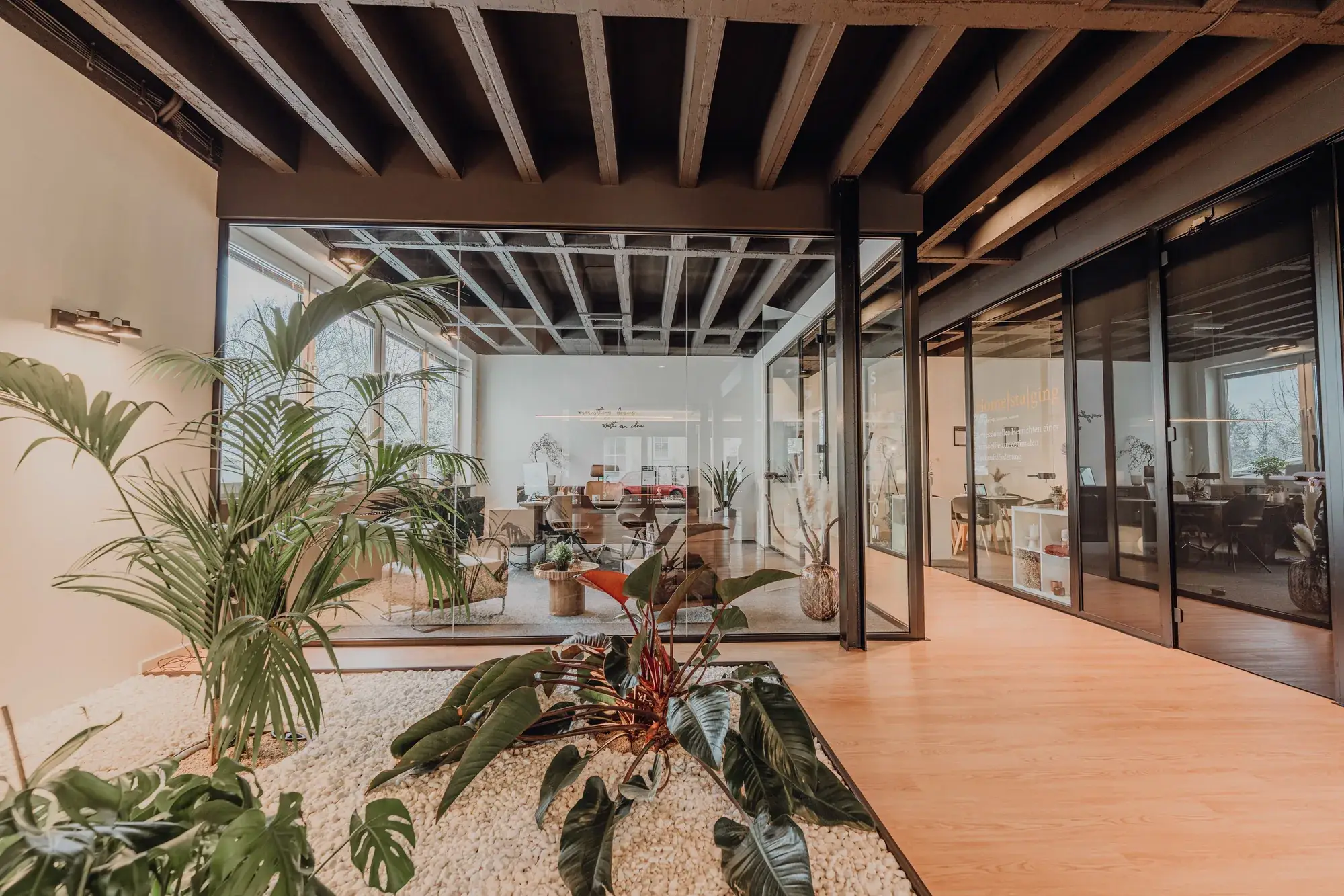 Modernisierung und innenarchitektonische Umgestaltung einer Geschäftsetage – Büro mit Glaswänden
