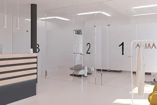 Sanierung 248, Projekt 248