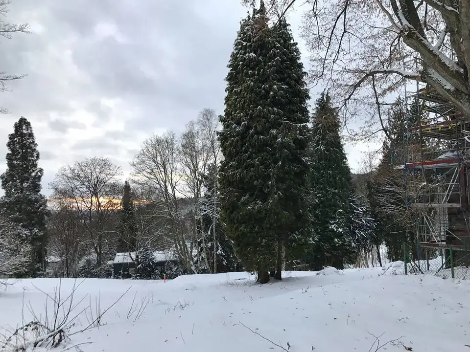 Villa im Taunus – Bild 3 von 3