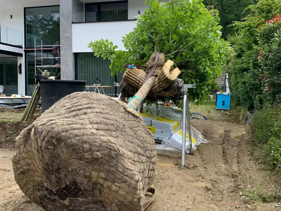 Villen-Außenanlage, Projekt 284 – Bild 2 von 5