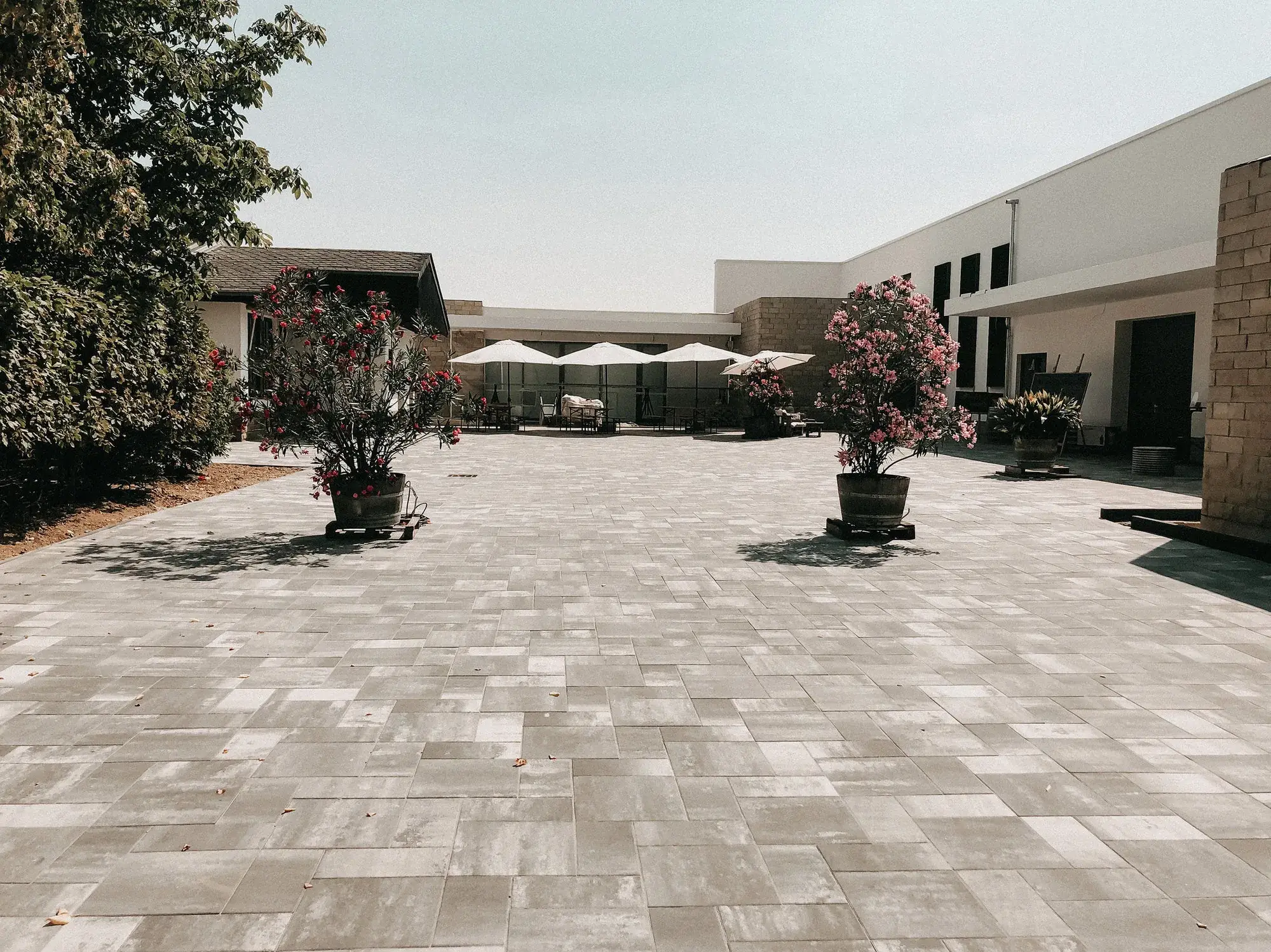 Weingut B. in Rheinhessen, Rheinhessen – Hof